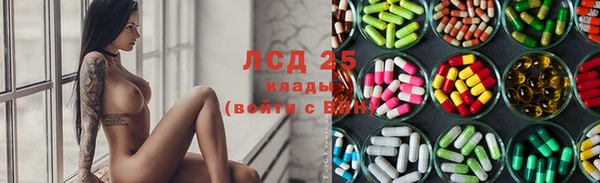 хмурый Алзамай
