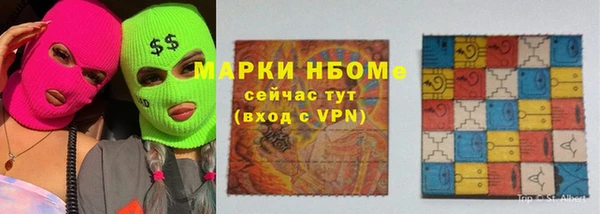 хмурый Алзамай