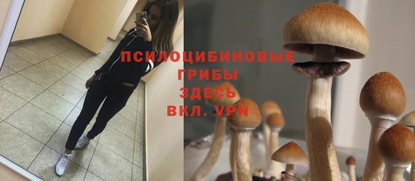 хмурый Алзамай