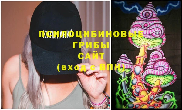 хмурый Алзамай