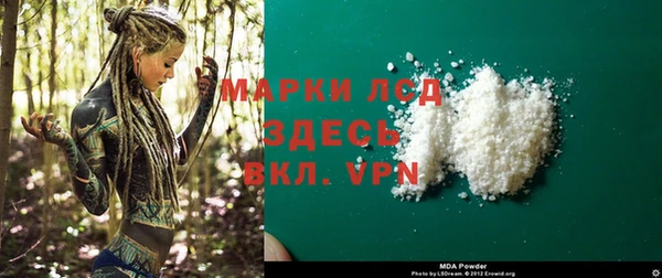 хмурый Алзамай