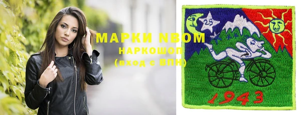 хмурый Алзамай